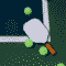 Pickleball